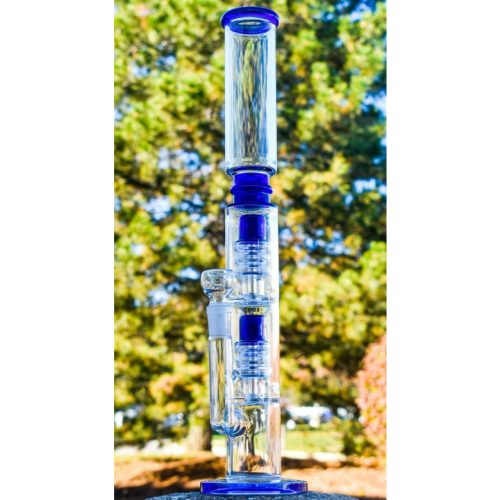 Shop Buy Salvia Online